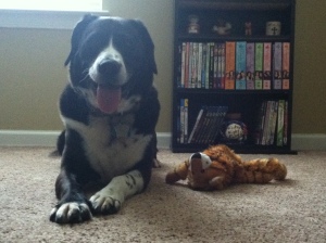 Indy and his new tiger